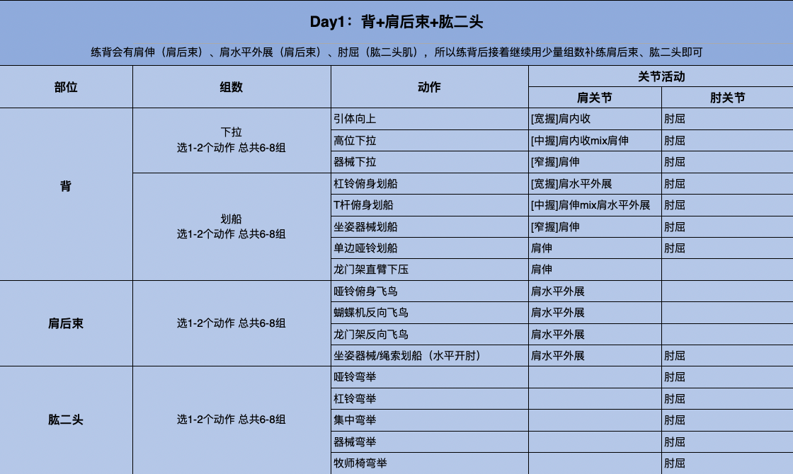 背部训练